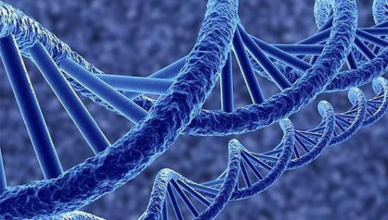 怎么选择正规的DNA亲子鉴定机构？