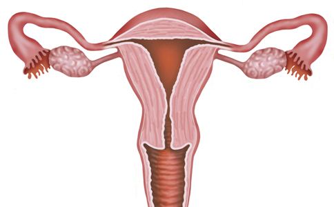输卵管堵塞是选择手术好还是选择试管好？