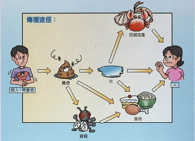 哪些人需要打甲肝疫苗？